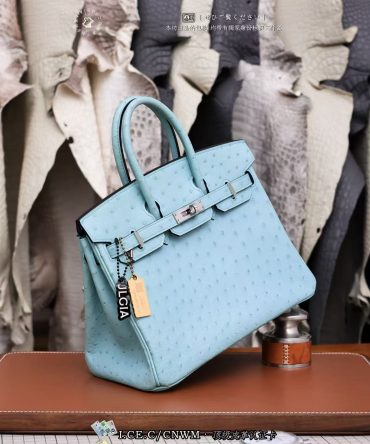 Birkin 铂金 25cm 鸵鸟皮 马卡龙蓝
